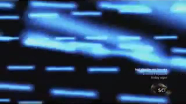 String Theory needle shaped particles