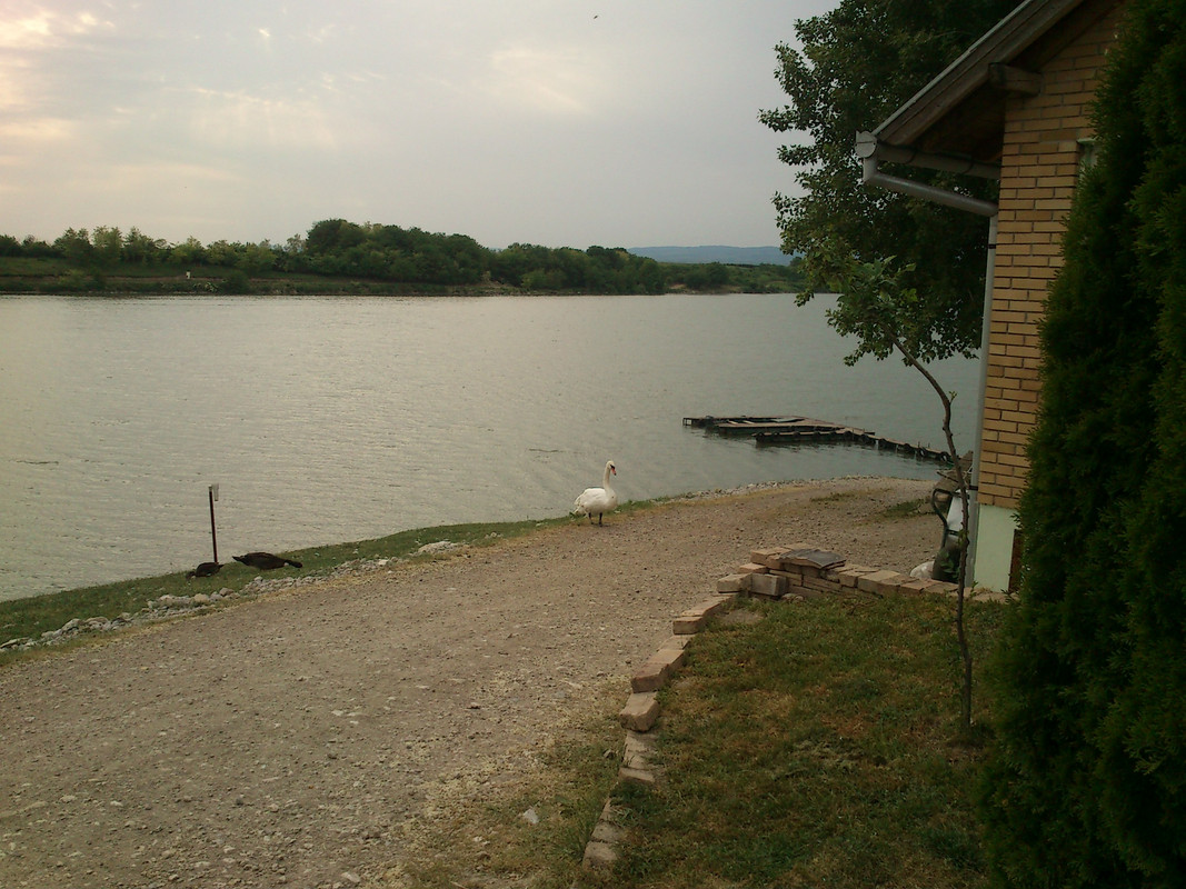 Slika
