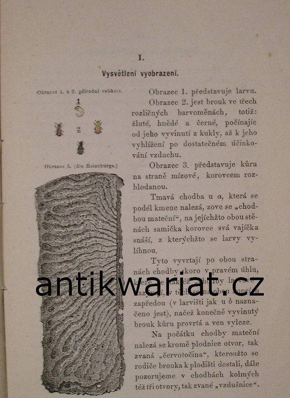 1wa Image00003