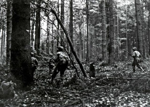 En la fábrica de la muerte. Escuadra de la 28ª División de Infantería entrando en el bosque de Hürtgen, Hürtgenwald. 2 noviembre 1944