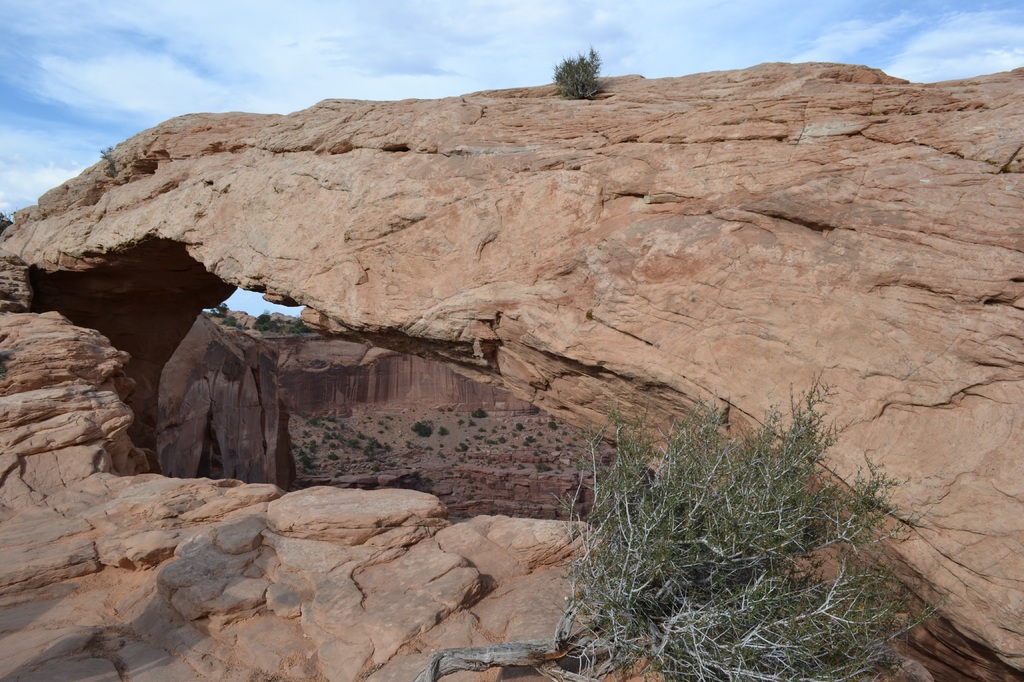 LOWER CALF CREEK FALLS, DEAD HORSE, CANYONLANDS, MOAB - 35 Dias en solitario por la West Coast americana. (29)