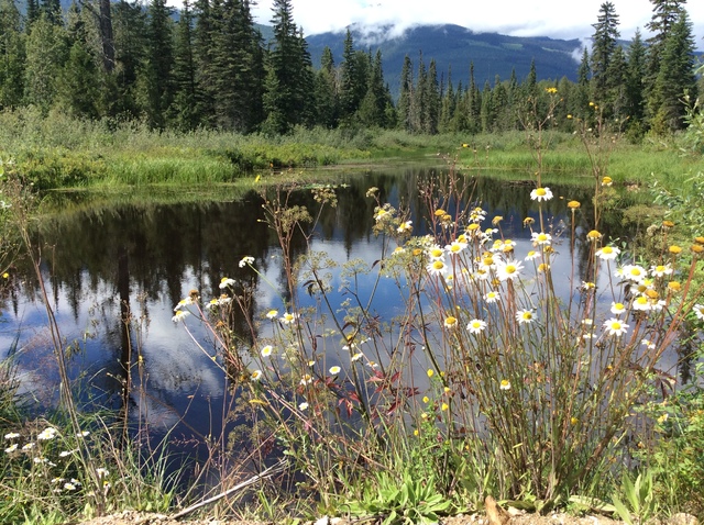 JASPER. CATARATAS Y GLACIAR. - UN SUEÑO: CANADA OESTE (3)