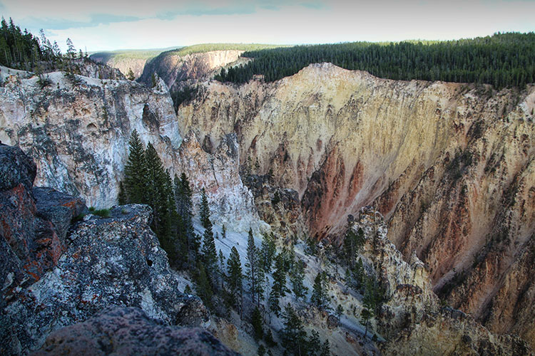 DIA 15: Grand Teton - Yellowstone - 18 días por la Costa Oeste de Estados Unidos: un sueño hecho realidad (22)