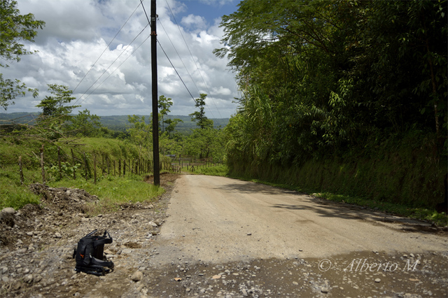 Reportaje fotográfico Costa Rica - Septiembre 2015 - Blogs de Costa Rica - Reportaje fotográfico Costa Rica - Septiembre 2015 (Parte I) (56)