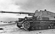 "Nashorn" из s.H.Pz.Jg.Abt.519,  Витебск, июнь 1944 года Nashorn_19_519_Panzerjaeger_Abt_Witebsk