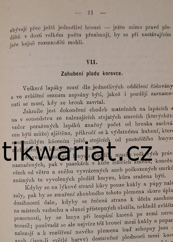 1wa Image00005