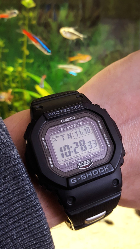 GW_5000_Aqua_1.jpg