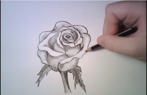 Guida Come Disegnare Una Rosa