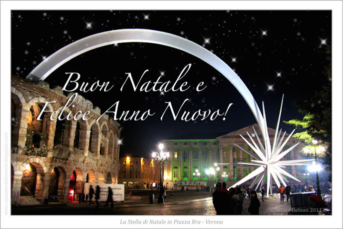 Stella_di_Natale_Verona