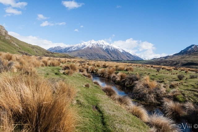 Día 17. Mt. Sunday (Edoras) & Christchurch - Nueva Zelanda/Islas Cook - Viaje de novios a la Tierra Media (3)