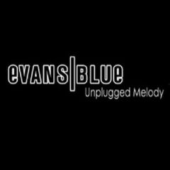 Evans Blue - The Unplugged Melody (2007).mp3 - 128 Kbps