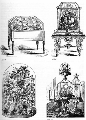 Wardian Case Designs from the Victorian Era