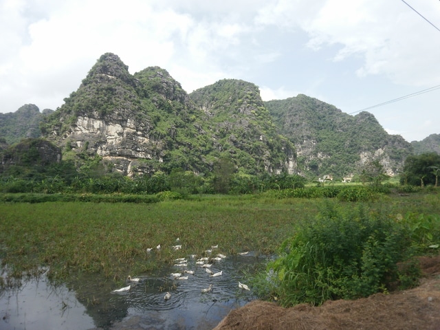 Etapa 9: Parque natural de Cuc Phuong + Ninh Binh + Hanoi. - Vietnam y Angkor: 25 días a nuestro aire (Actualizado con fotos!!!) (7)